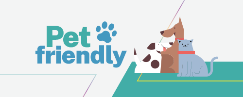 Somos Pet Friendly